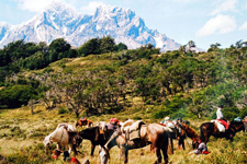 Chile-Patagonia / Torres del Paine-Patagonia Estancias and Endurance Race